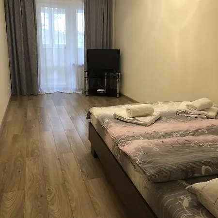 Apartment Lvivbalabana *